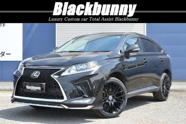 Blackbunny　LEXUS　RX270