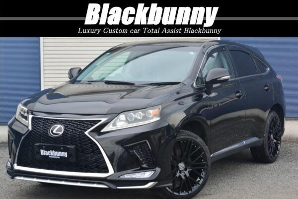 Blackbunny　LEXUS　RX270